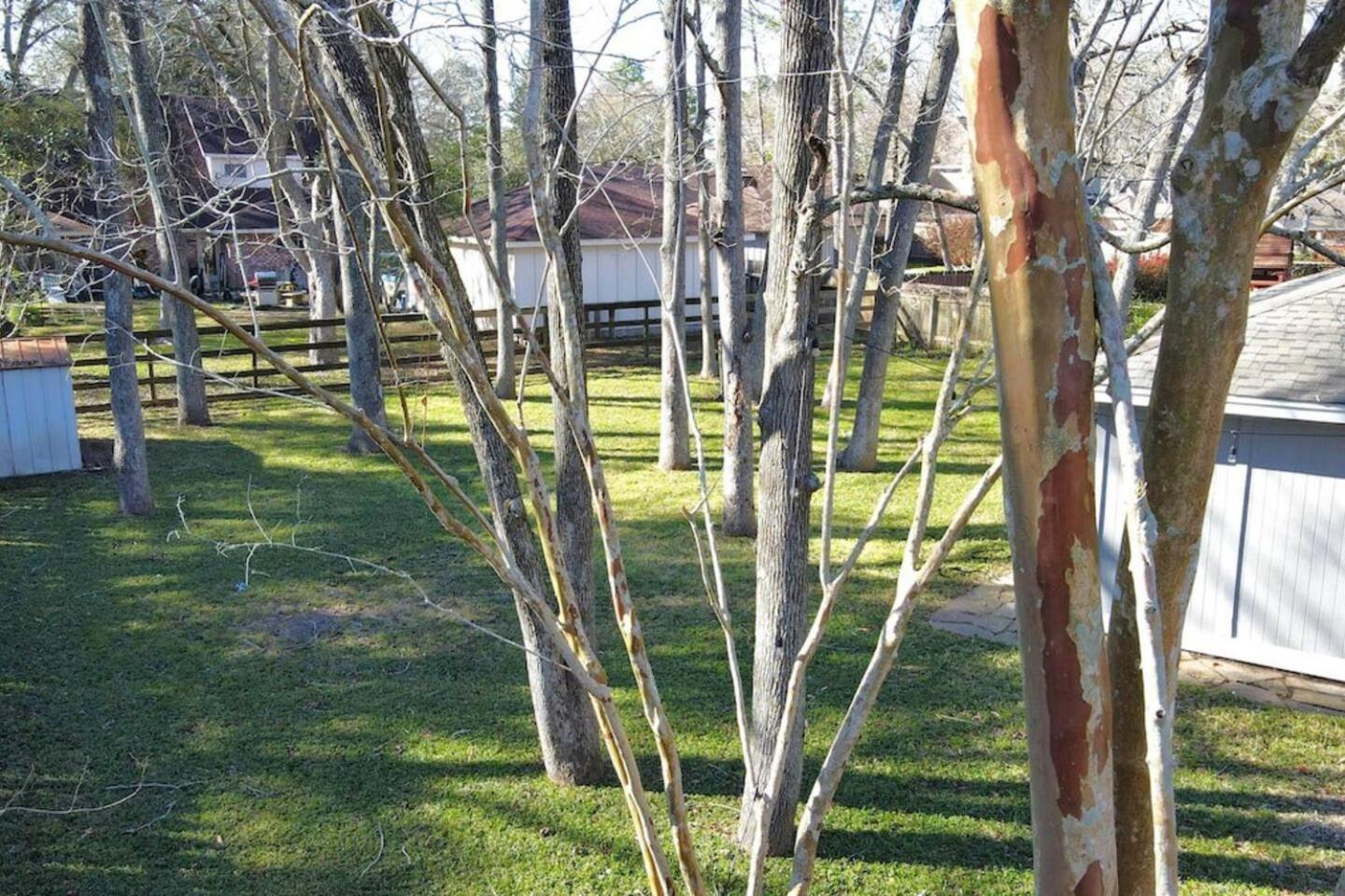 Sunmeadow Manor Retreat Βίλα Friendswood Εξωτερικό φωτογραφία